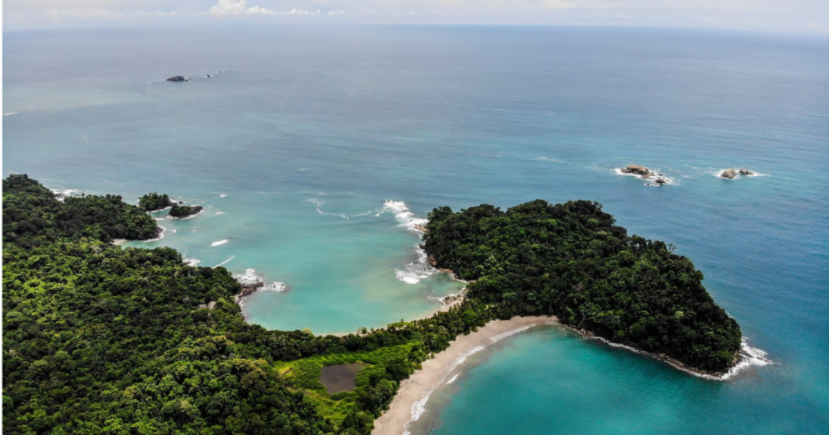 Descubre La Belleza Natural De Manuel Antonio El Paradis Aco Parque