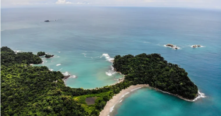 Descubre la belleza natural de Manuel Antonio, el paradisíaco parque nacional en Costa Rica