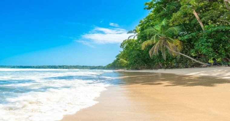Descubre la Belleza Natural del Parque Nacional Cahuita en Costa Rica